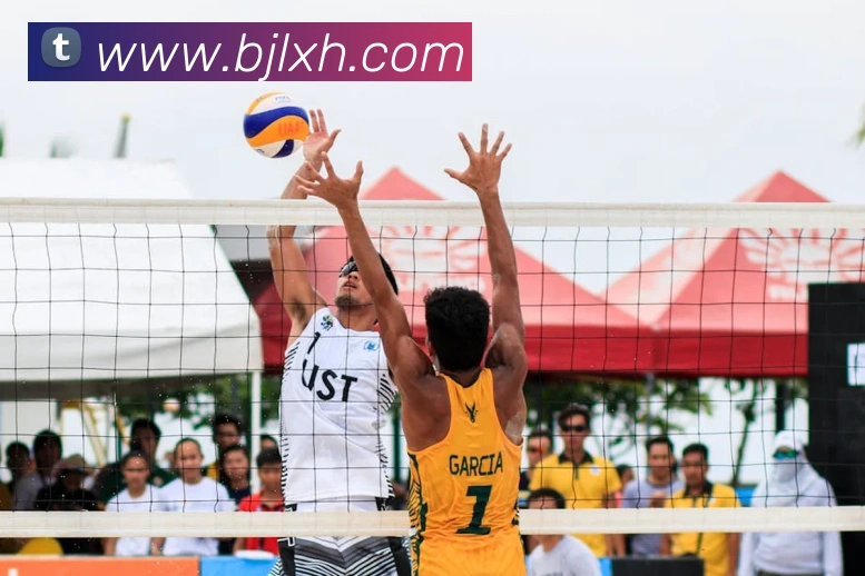 百家乐网站发展历程